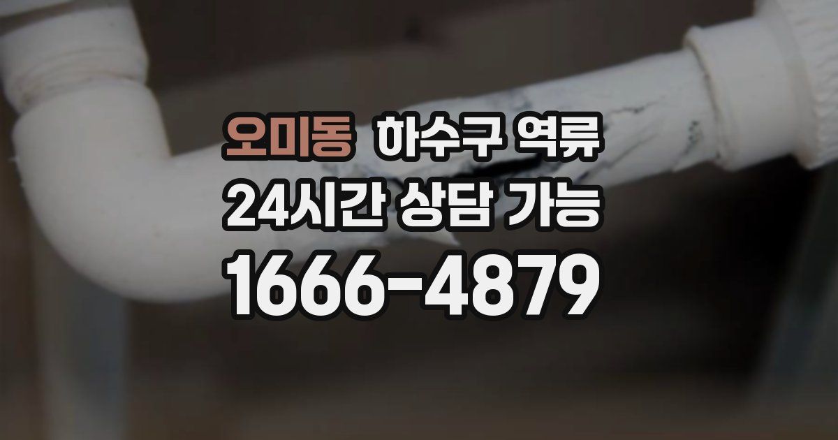 오미동 하수구 역류