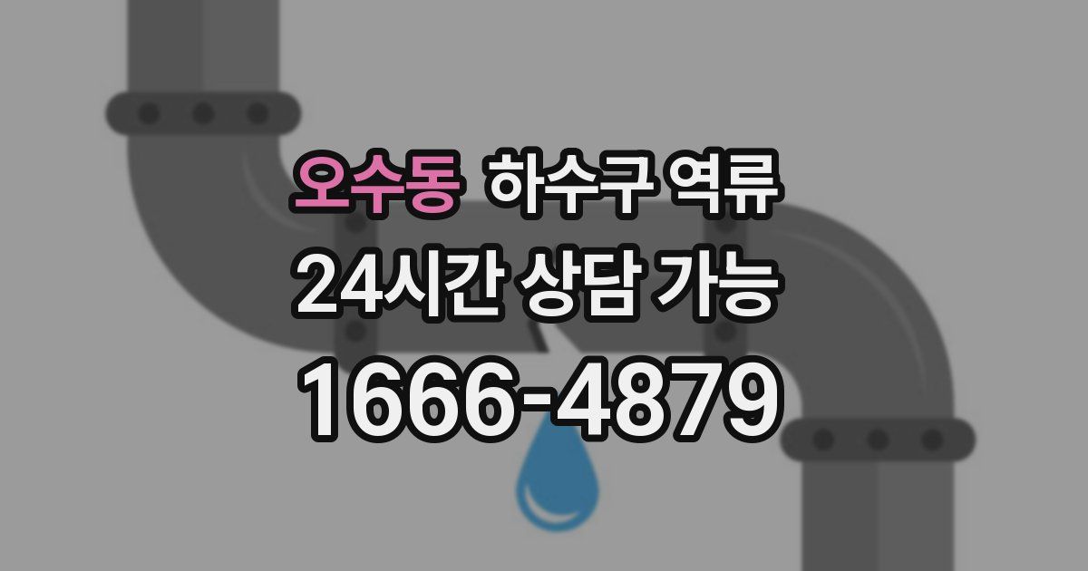 오수동 하수구 역류