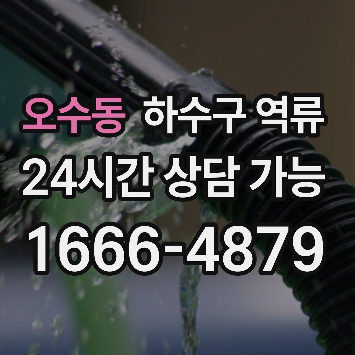 오수동 하수구 역류