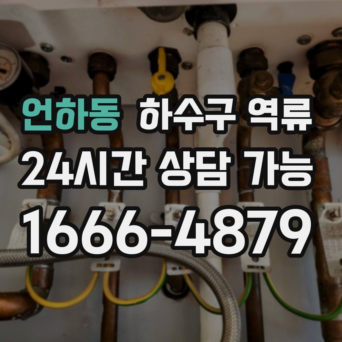 언하동 하수구 역류