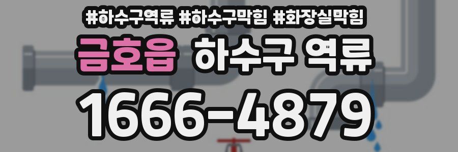 금호읍 하수구 역류