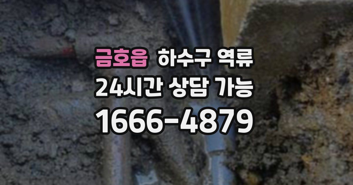 금호읍 하수구 역류