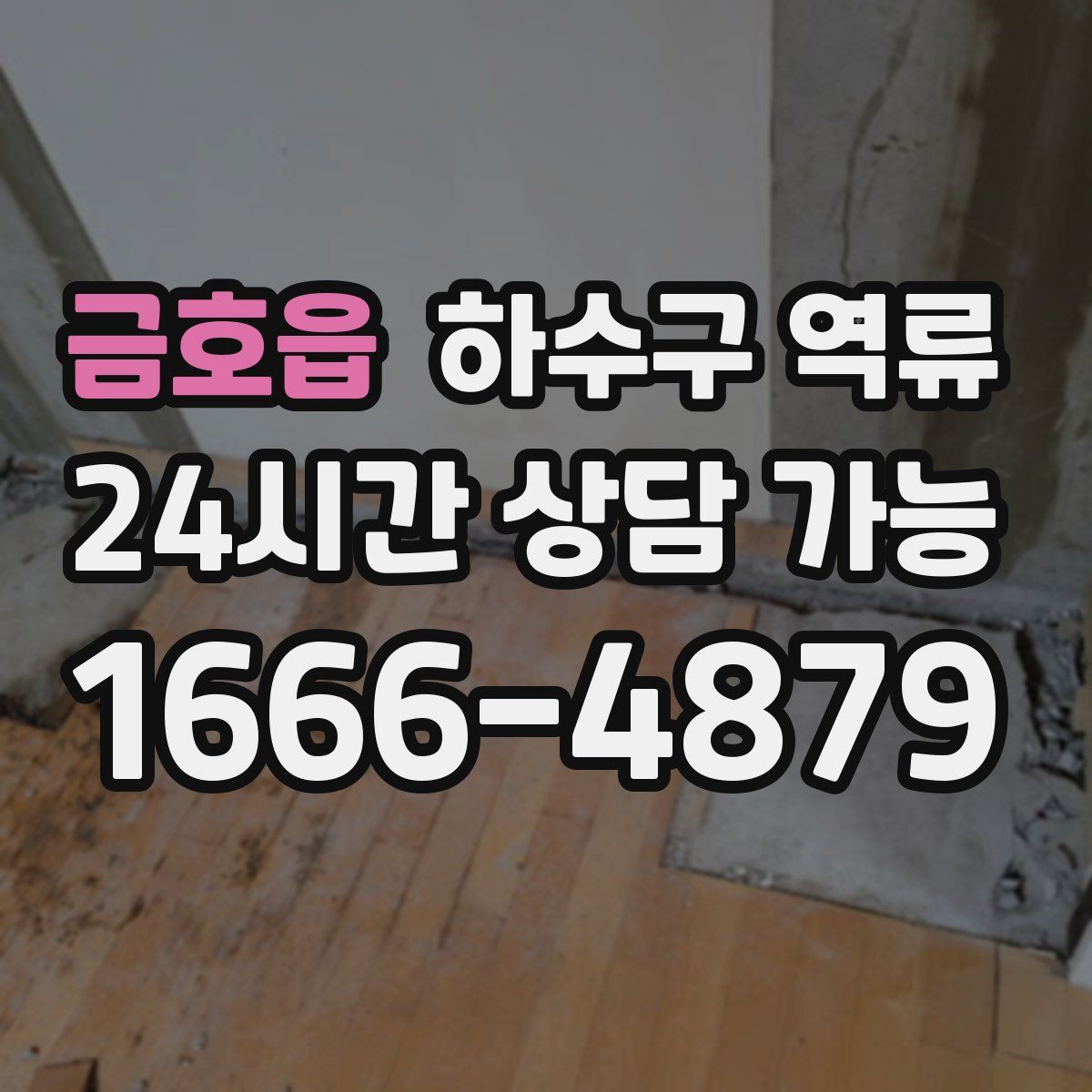 금호읍 하수구 역류