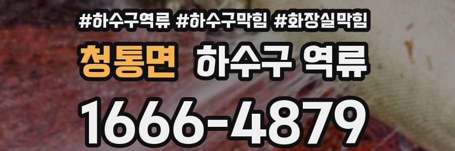 청통면 하수구 역류