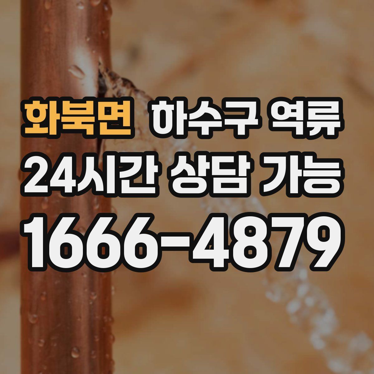 화북면 하수구 역류