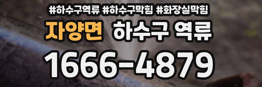 자양면 하수구 역류