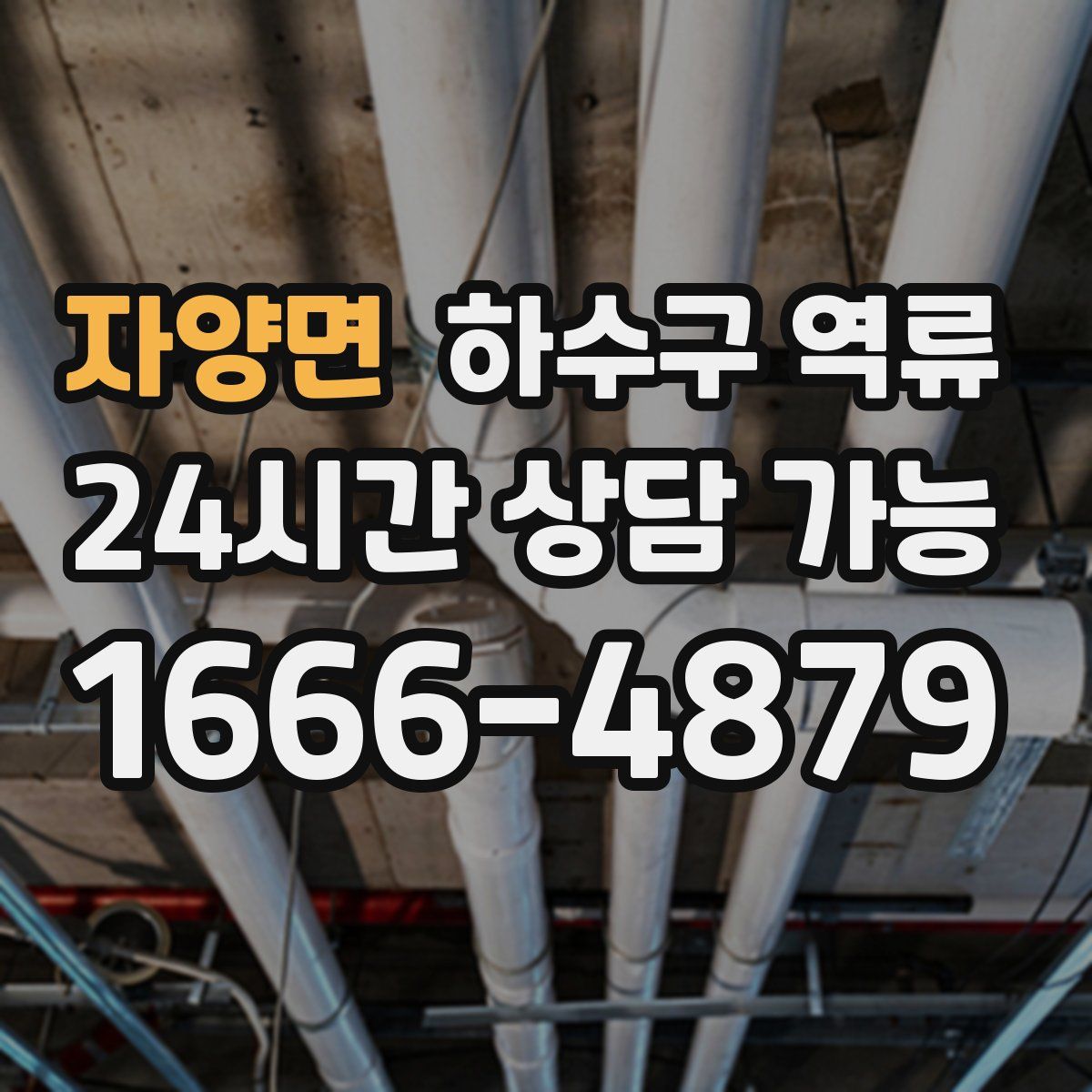 자양면 하수구 역류