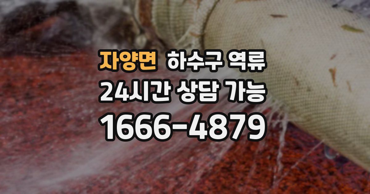 자양면 하수구 역류