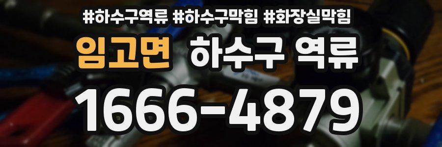 임고면 하수구 역류