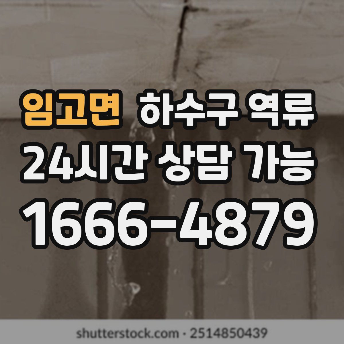 임고면 하수구 역류