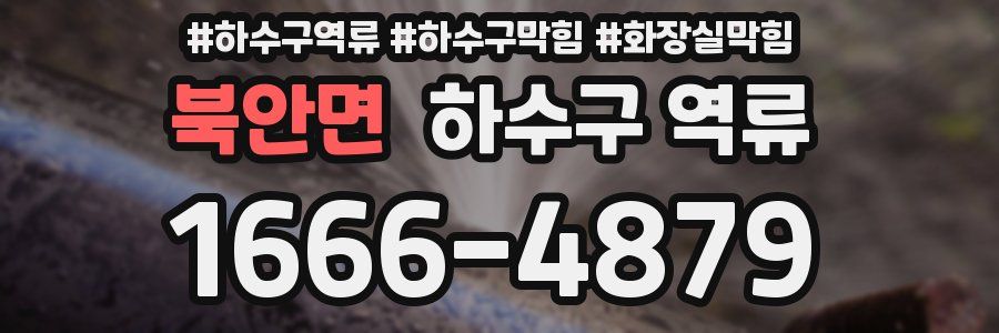 북안면 하수구 역류