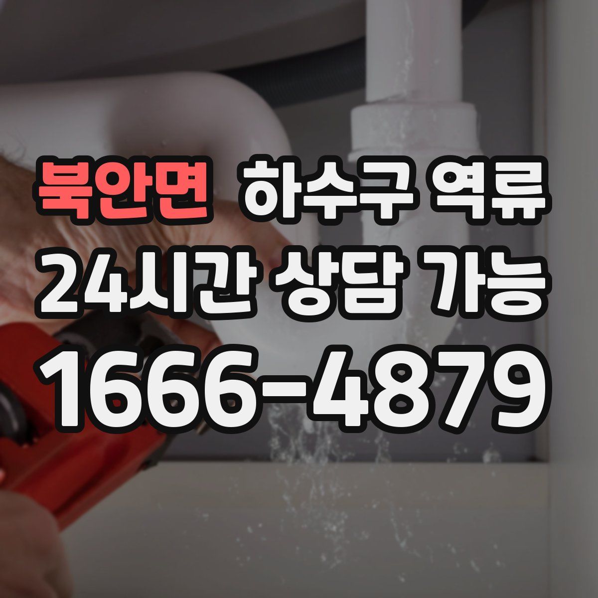북안면 하수구 역류
