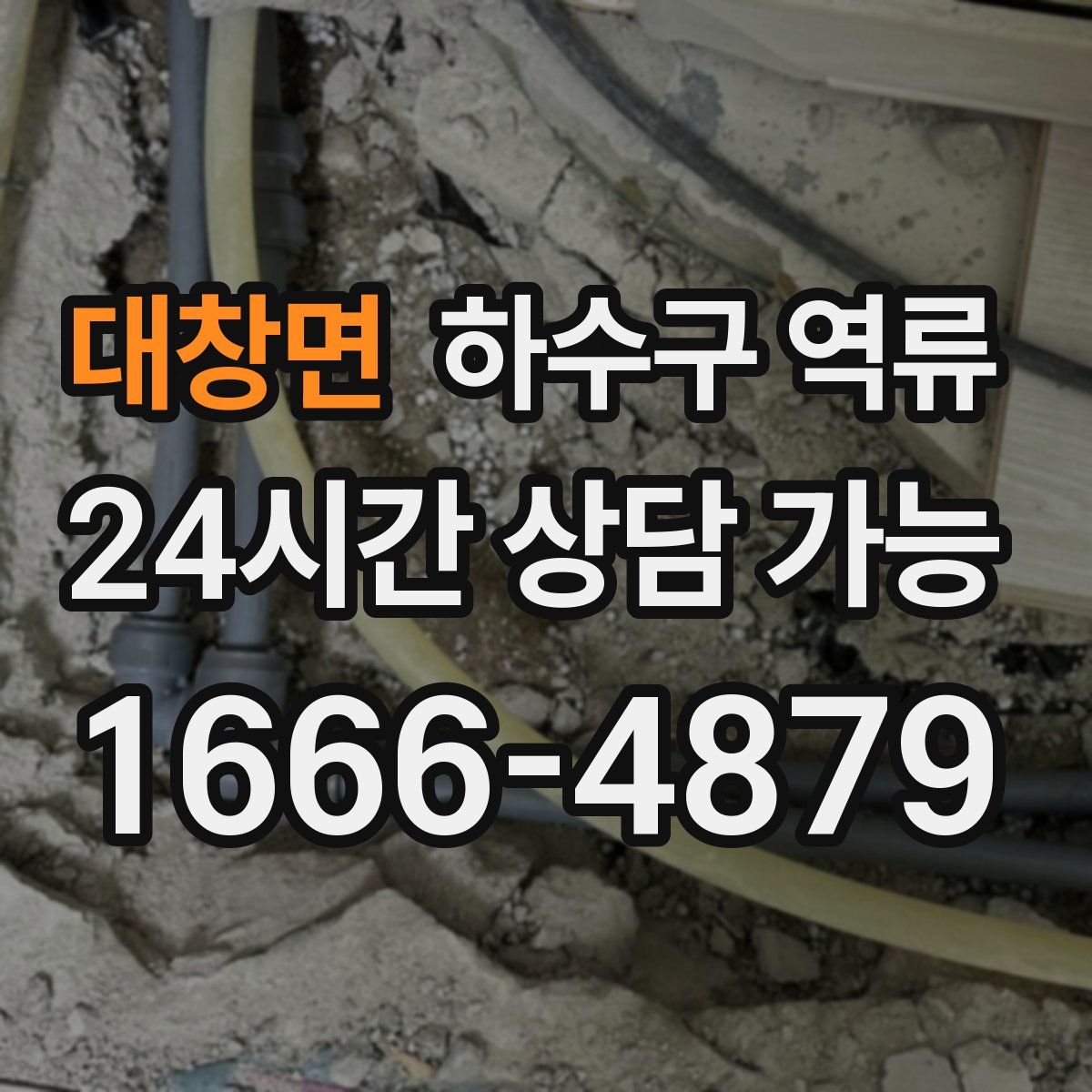 대창면 하수구 역류