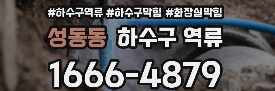 성동동 하수구 역류