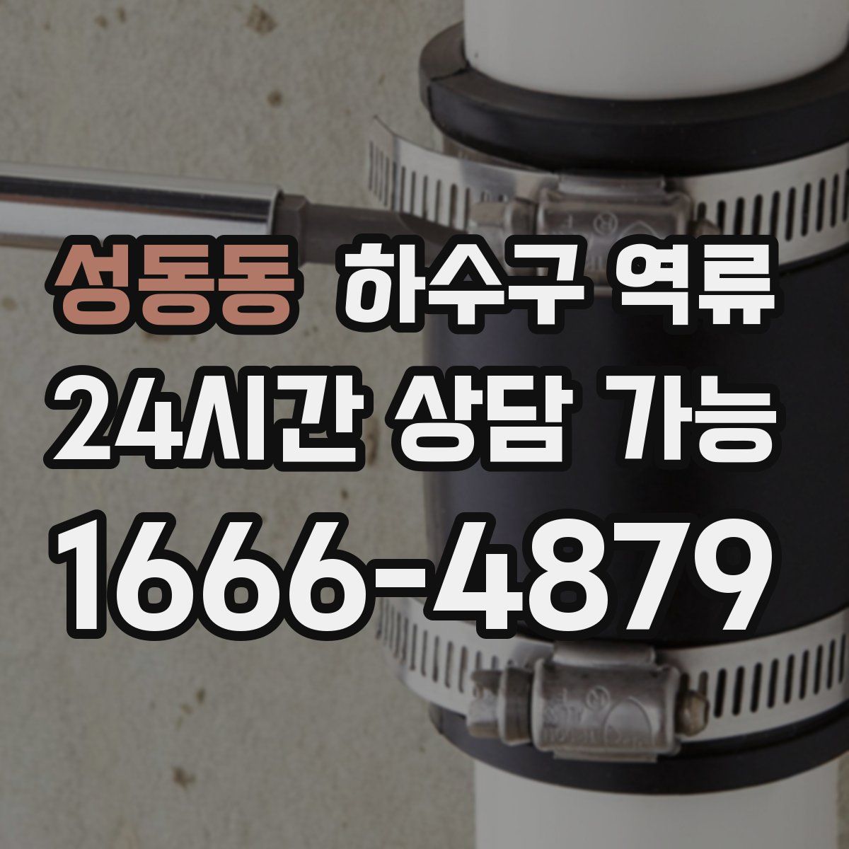 성동동 하수구 역류