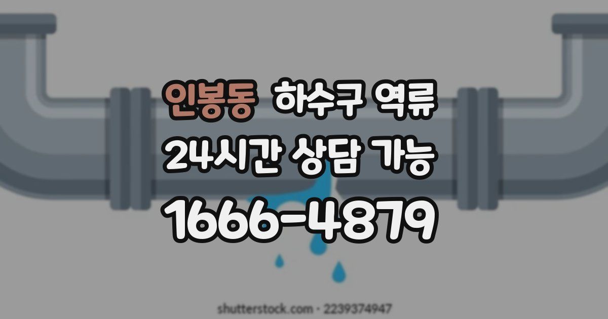 인봉동 하수구 역류