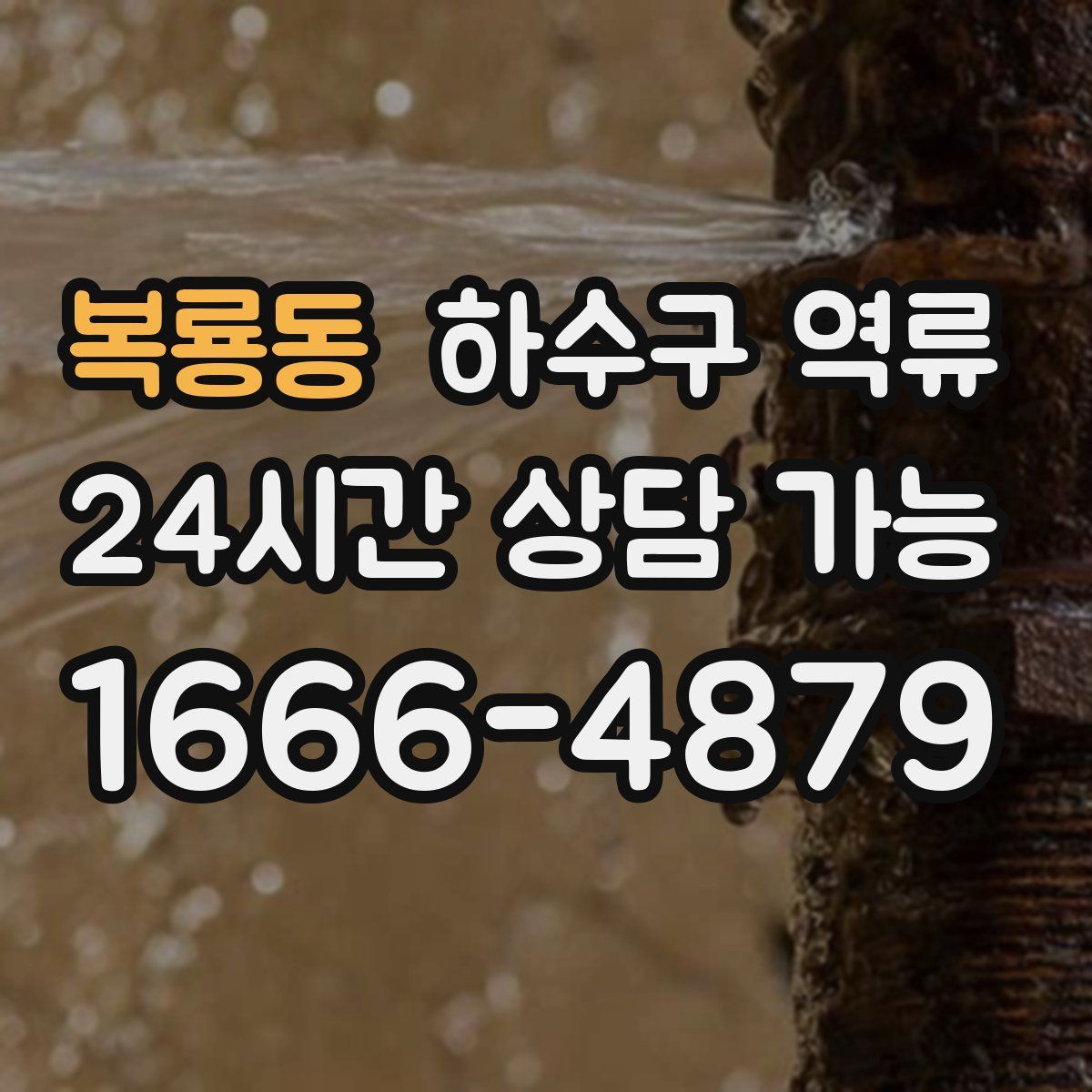 복룡동 하수구 역류