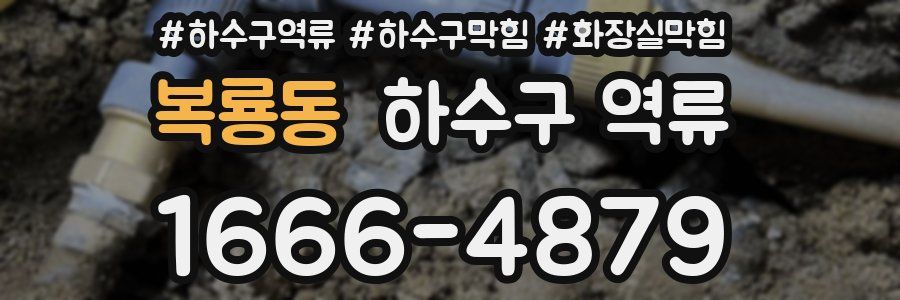 복룡동 하수구 역류