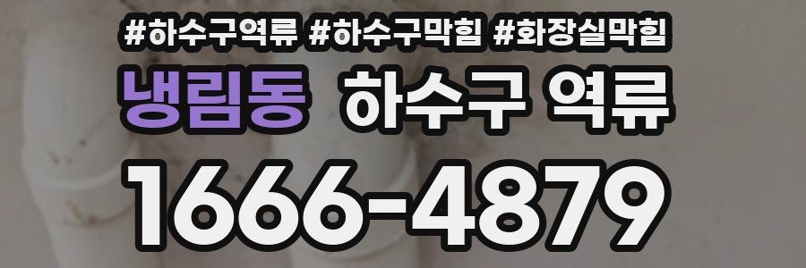 냉림동 하수구 역류