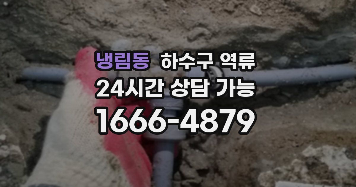 냉림동 하수구 역류