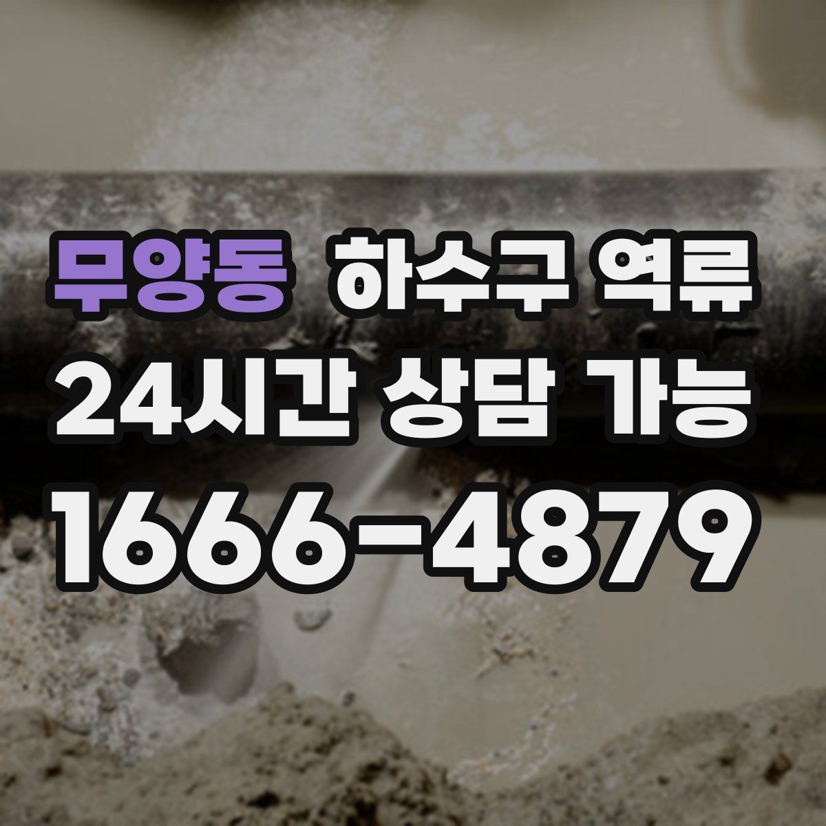 무양동 하수구 역류