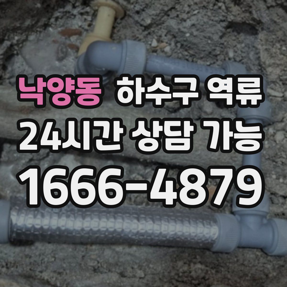 낙양동 하수구 역류