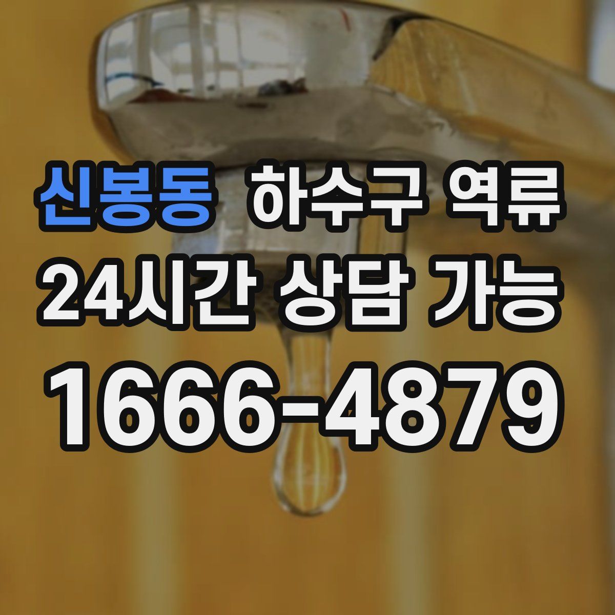 신봉동 하수구 역류