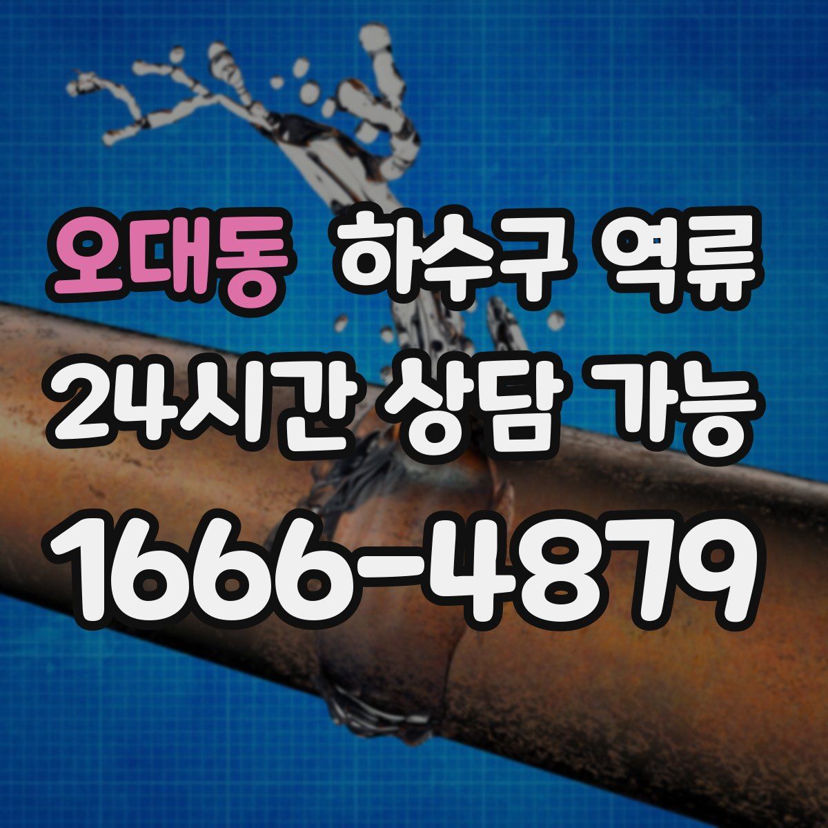 오대동 하수구 역류