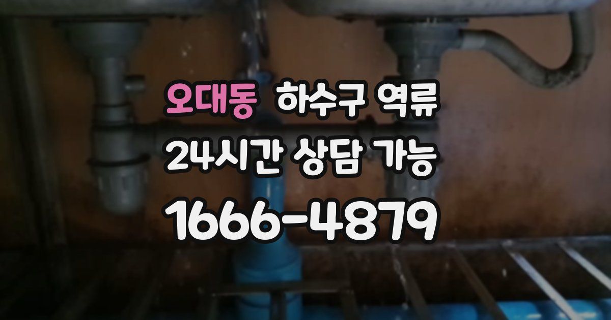 오대동 하수구 역류