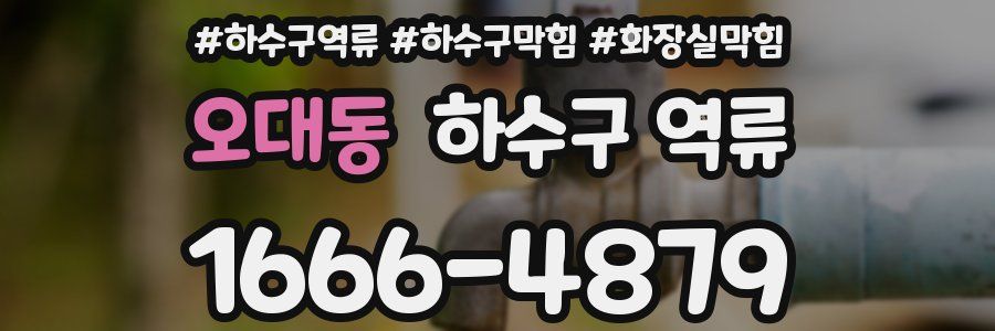 오대동 하수구 역류