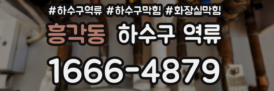 흥각동 하수구 역류