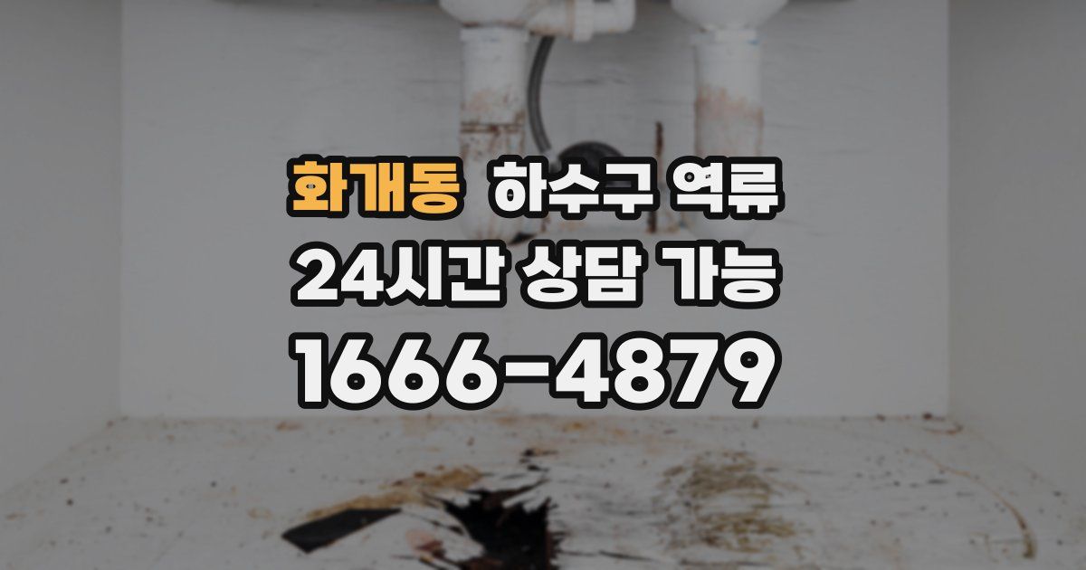 화개동 하수구 역류