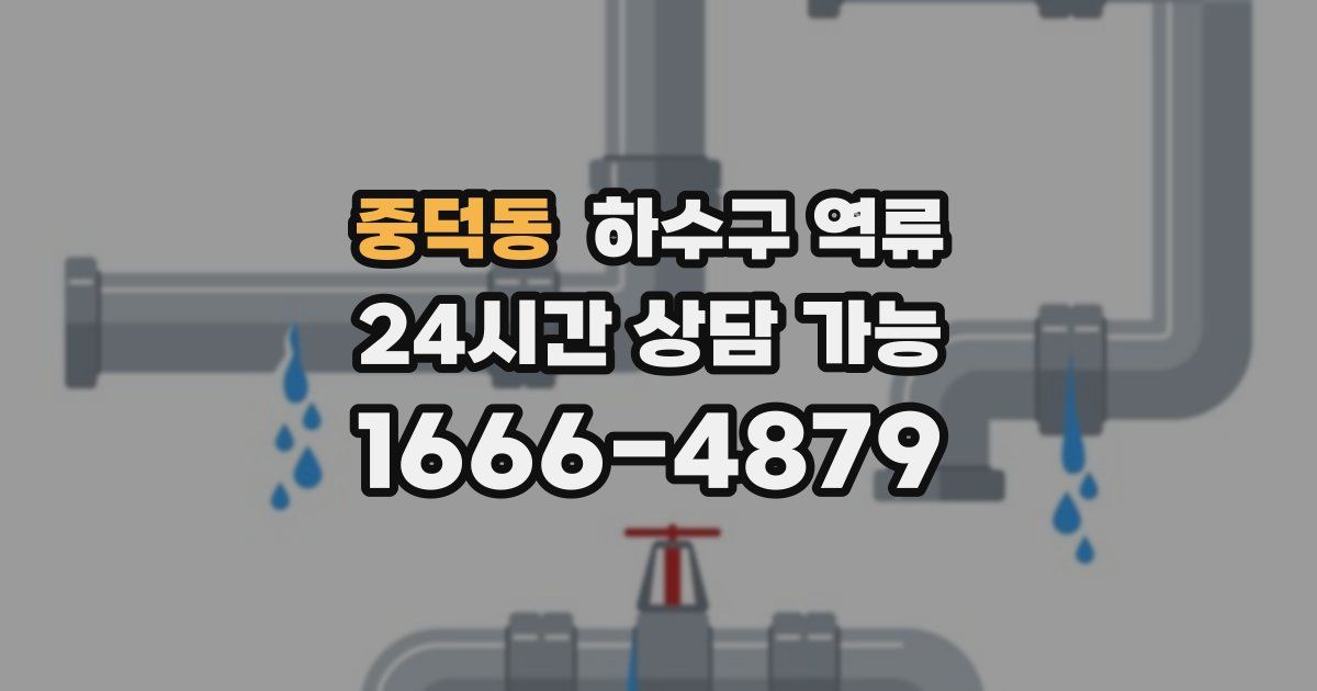 중덕동 하수구 역류