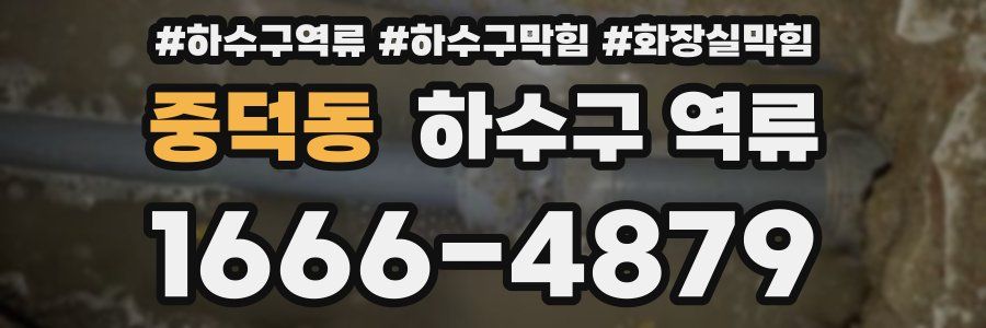 중덕동 하수구 역류