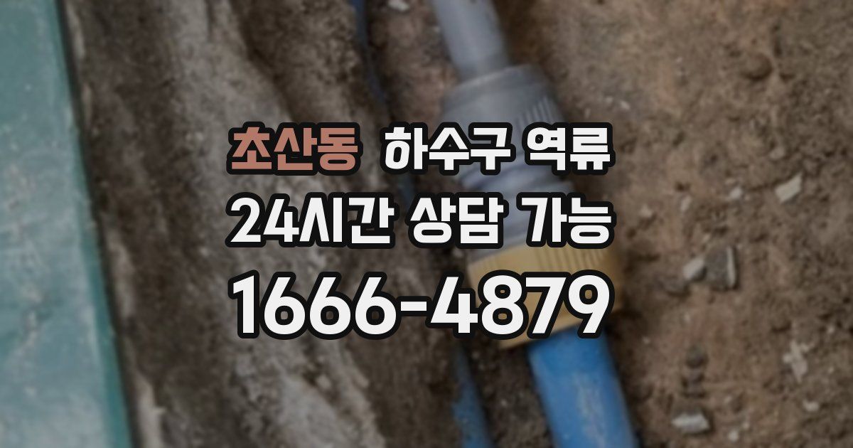 초산동 하수구 역류