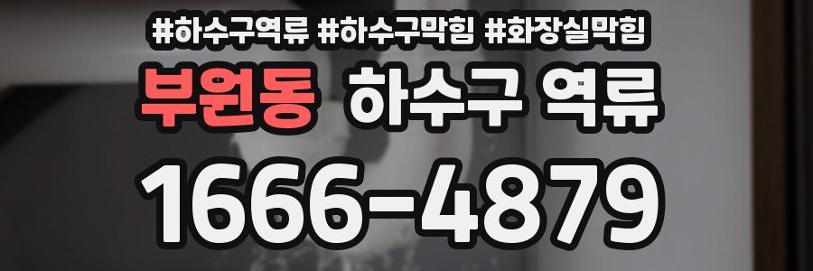 부원동 하수구 역류