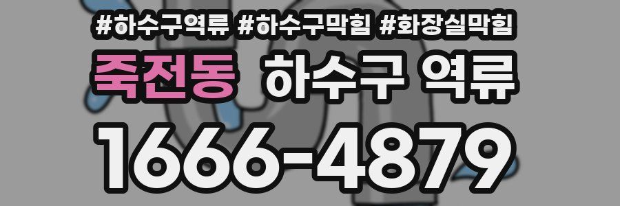 죽전동 하수구 역류