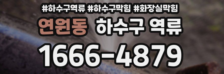 연원동 하수구 역류