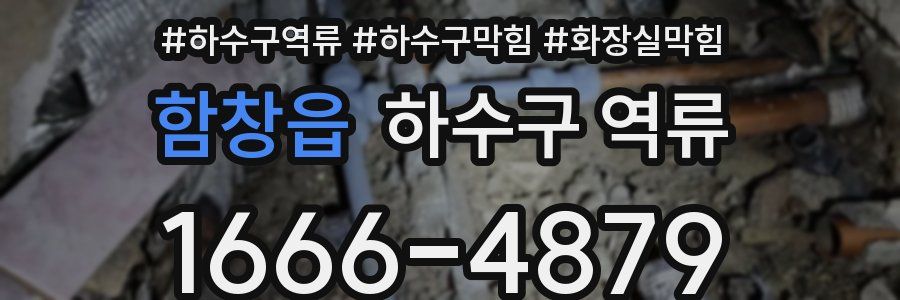 함창읍 하수구 역류