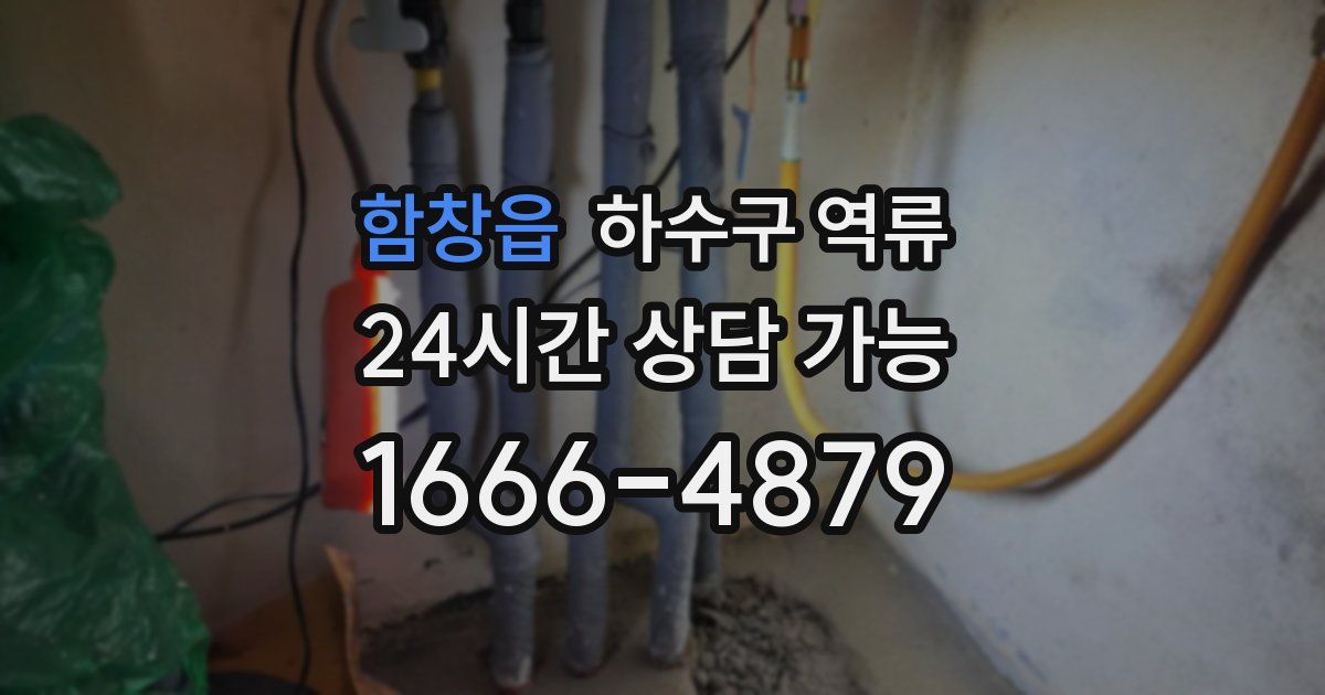 함창읍 하수구 역류