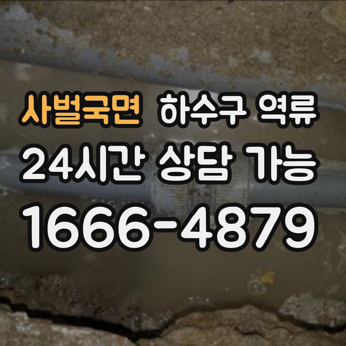 사벌국면 하수구 역류