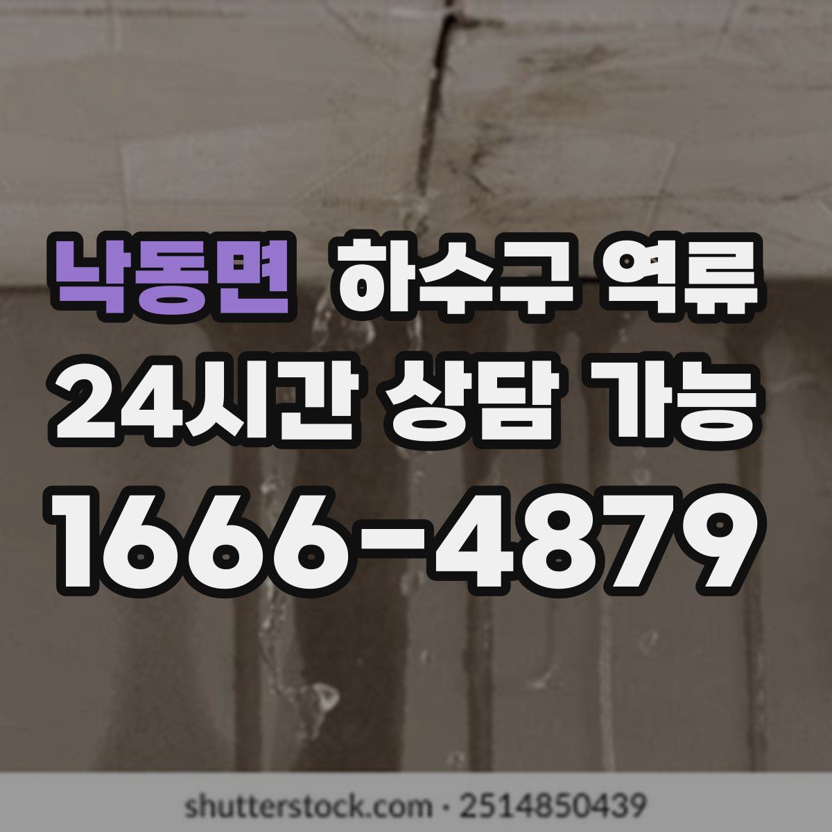 낙동면 하수구 역류