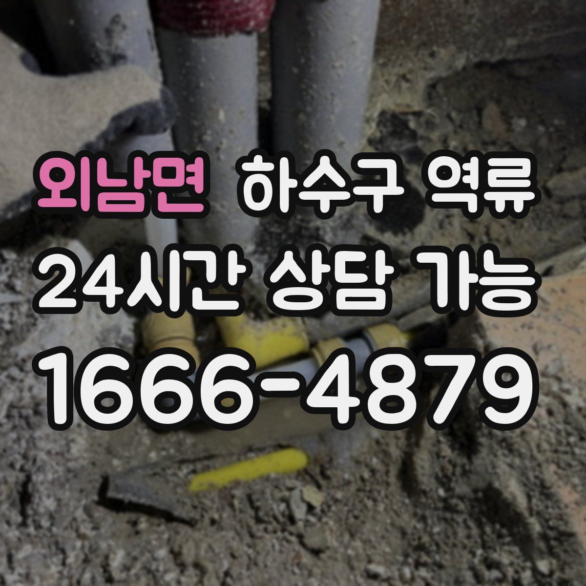 외남면 하수구 역류