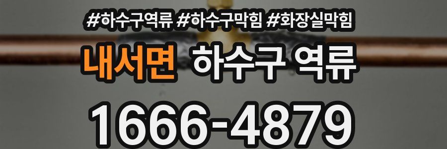 내서면 하수구 역류