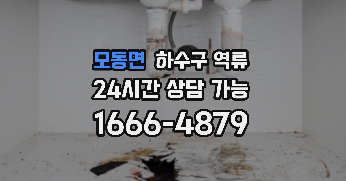 모동면 하수구 역류