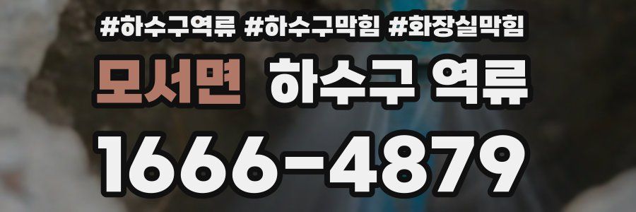 모서면 하수구 역류