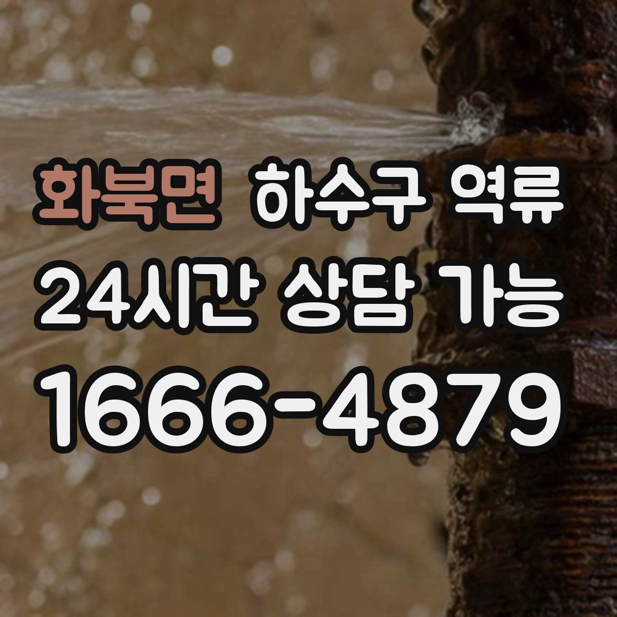 화북면 하수구 역류