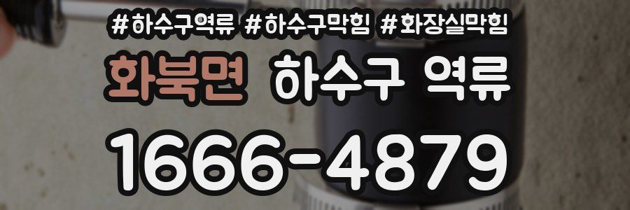 화북면 하수구 역류