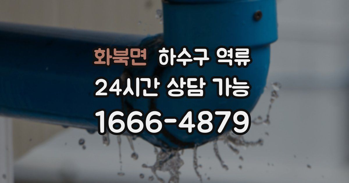 화북면 하수구 역류