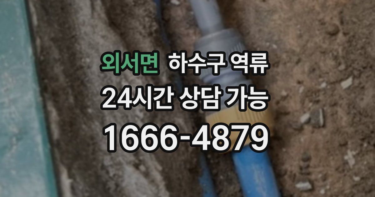 외서면 하수구 역류